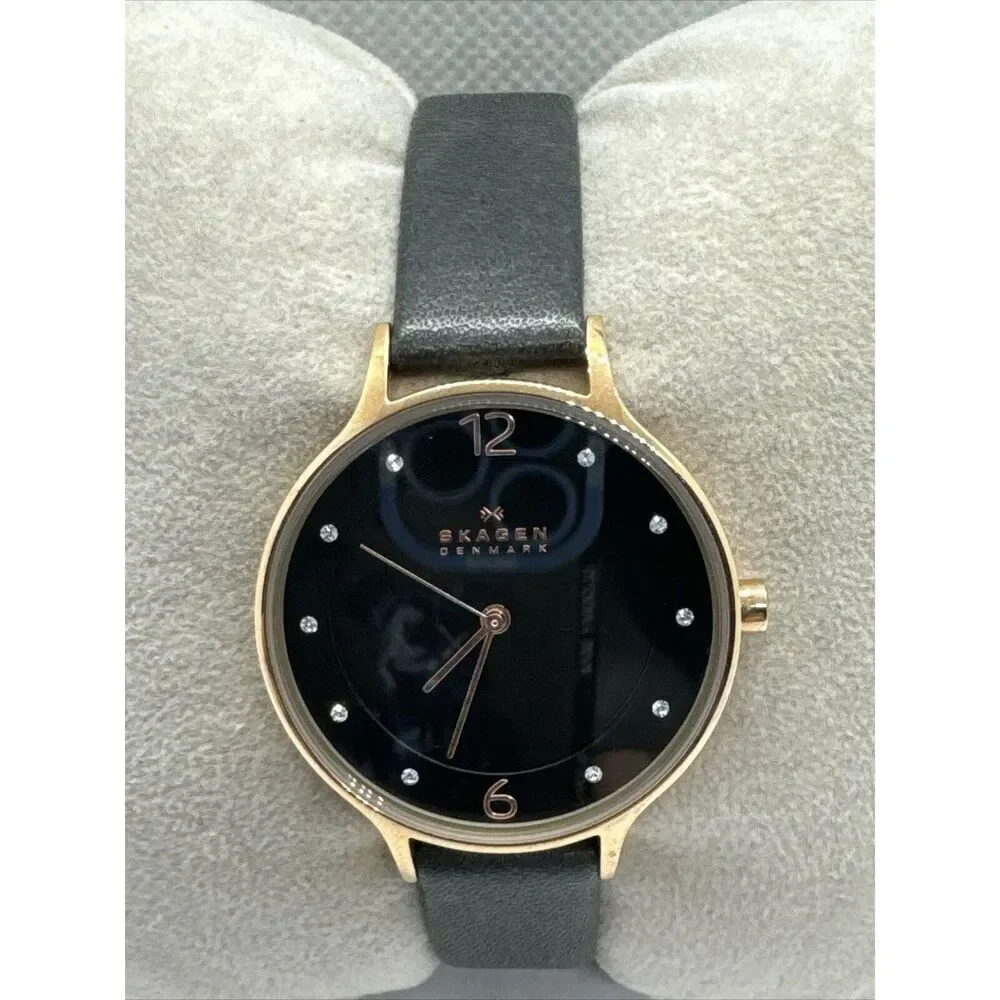 Skagen Anita Lille SKW2267 Women Charcoal Leather Analog Dial Wrist Watch JNA920